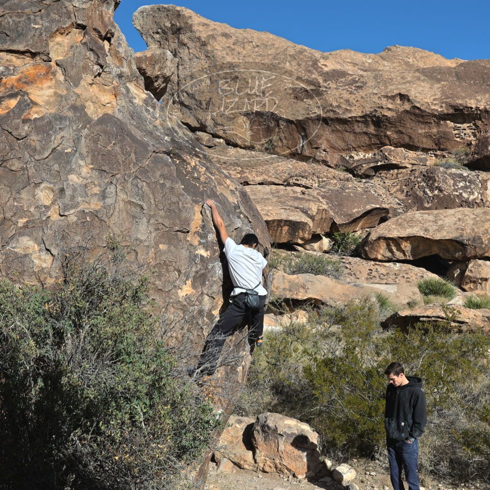 Filename: SRM_20221112_0924030.jpg
Aperture: f/5.6
Shutter Speed: 1/1000
Body: Canon EOS R6
Lens: Canon EF 16-35mm f/2.8 L