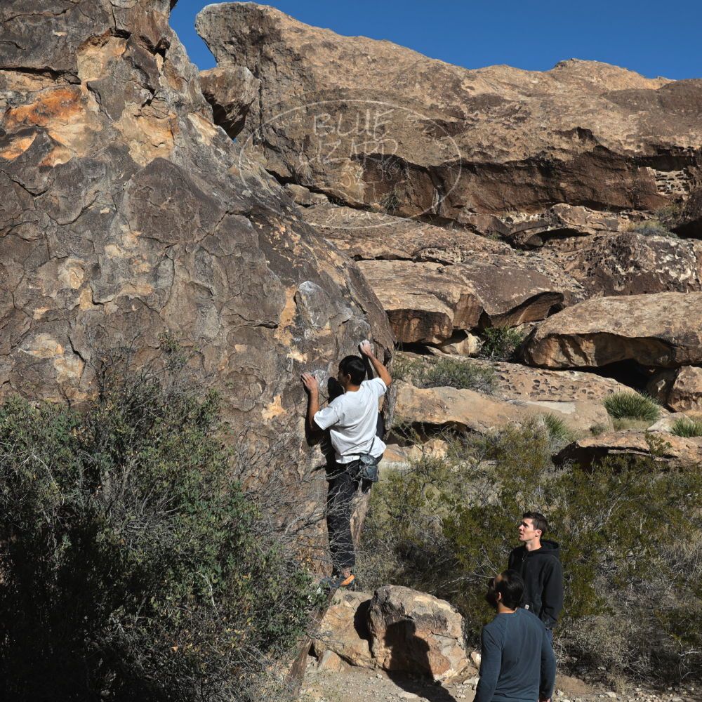 Filename: SRM_20221112_0924090.jpg
Aperture: f/8.0
Shutter Speed: 1/1000
Body: Canon EOS R6
Lens: Canon EF 16-35mm f/2.8 L