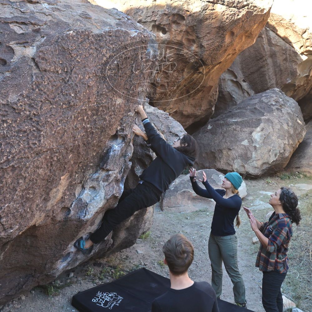 

Filename: SRM_20221112_0924170.jpg
Aperture: f/5.6
Shutter Speed: 1/500
Body: Canon EOS R6
Lens: Canon EF 16-35mm f/2.8 L