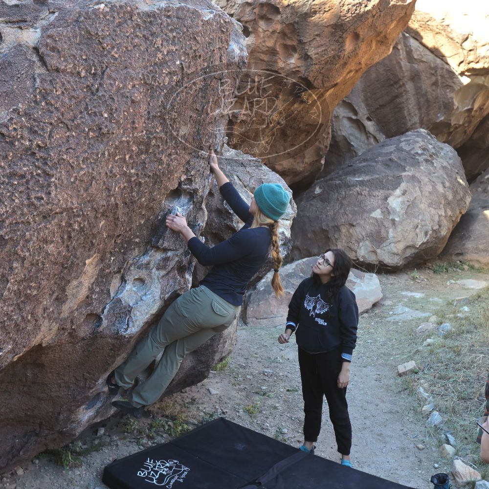 

Filename: SRM_20221112_0924470.jpg
Aperture: f/5.6
Shutter Speed: 1/500
Body: Canon EOS R6
Lens: Canon EF 16-35mm f/2.8 L