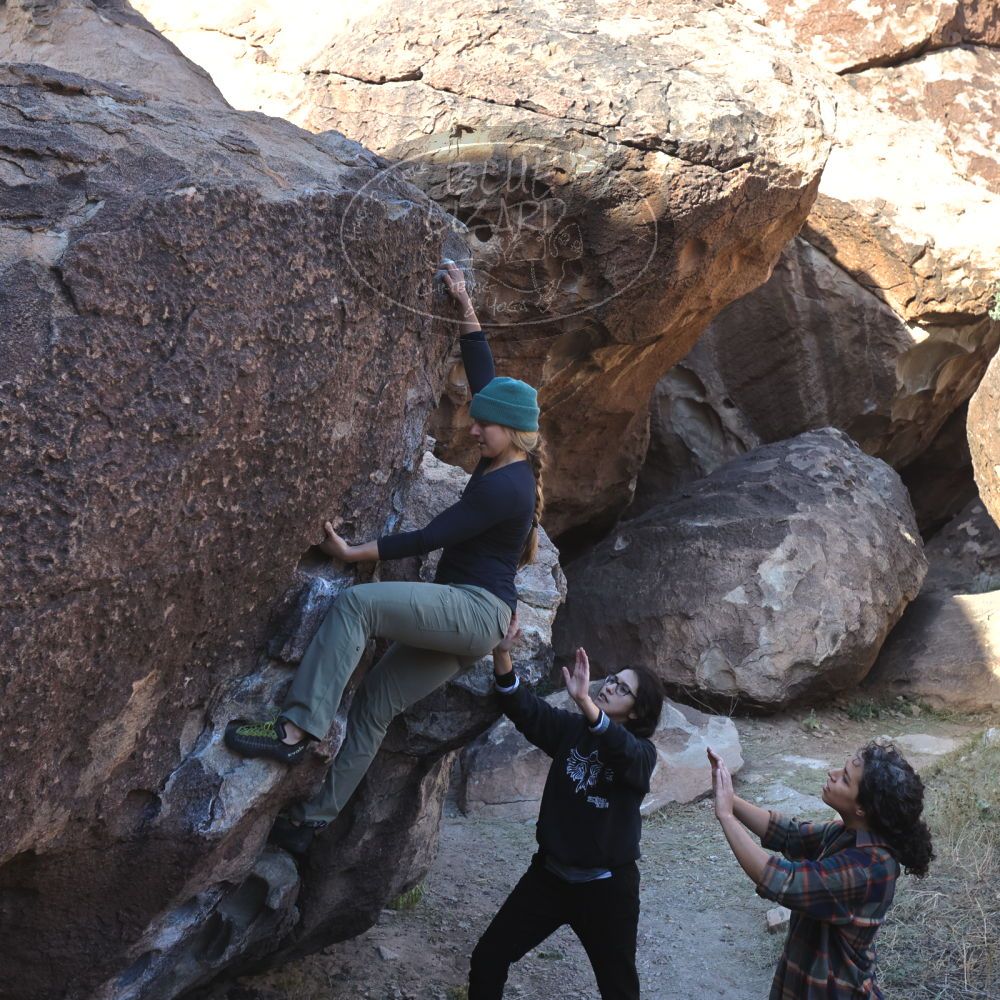 

Filename: SRM_20221112_0925350.jpg
Aperture: f/5.6
Shutter Speed: 1/500
Body: Canon EOS R6
Lens: Canon EF 16-35mm f/2.8 L