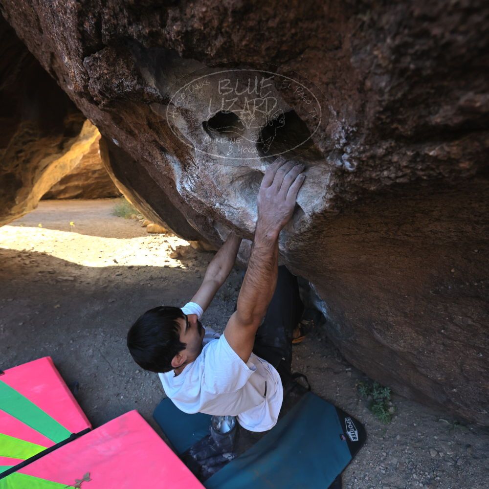 

Filename: SRM_20221112_0927130.jpg
Aperture: f/5.6
Shutter Speed: 1/500
Body: Canon EOS R6
Lens: Canon EF 16-35mm f/2.8 L