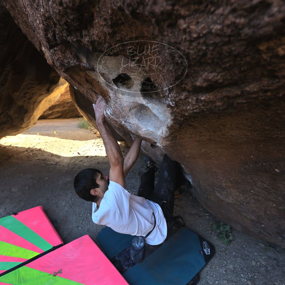 

Filename: SRM_20221112_0928150.jpg
Aperture: f/5.6
Shutter Speed: 1/500
Body: Canon EOS R6
Lens: Canon EF 16-35mm f/2.8 L