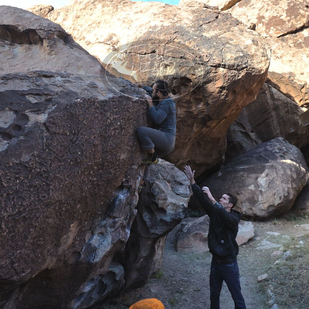 

Filename: SRM_20221112_0928380.jpg
Aperture: f/5.6
Shutter Speed: 1/500
Body: Canon EOS R6
Lens: Canon EF 16-35mm f/2.8 L