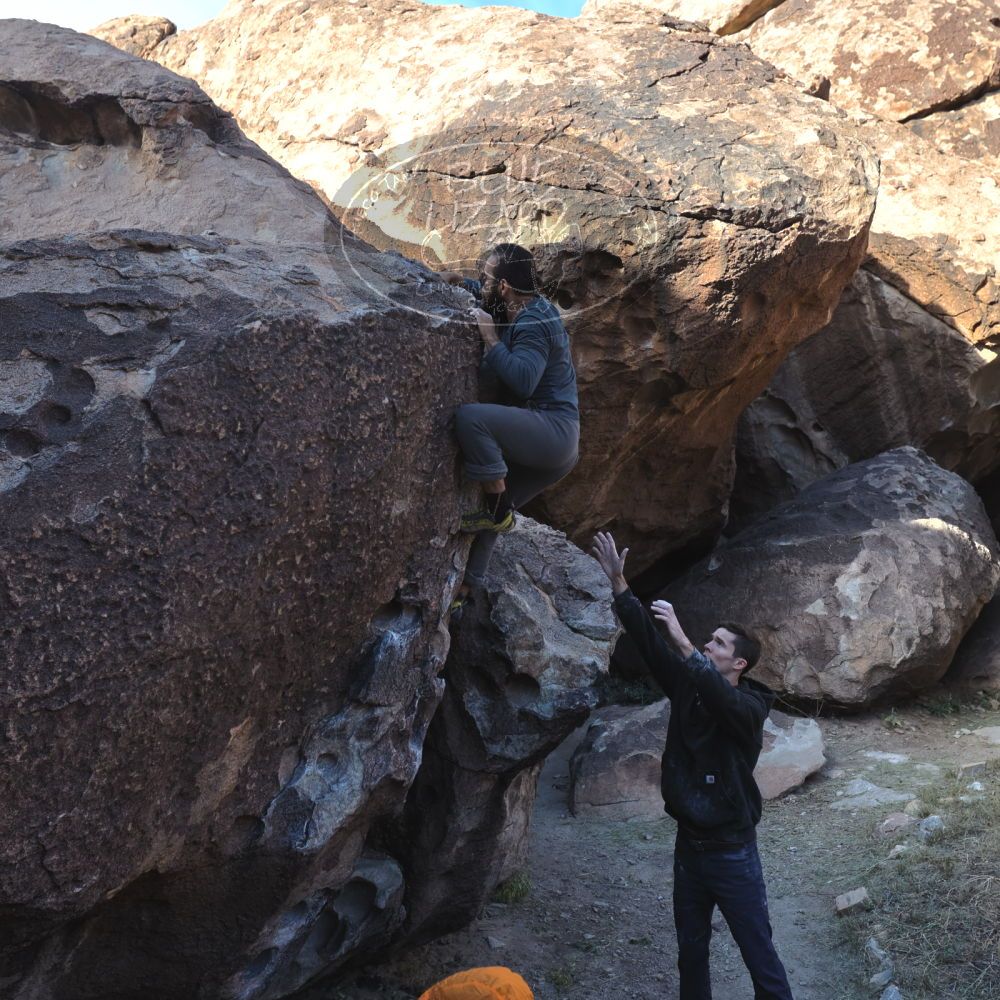 

Filename: SRM_20221112_0928381.jpg
Aperture: f/5.6
Shutter Speed: 1/500
Body: Canon EOS R6
Lens: Canon EF 16-35mm f/2.8 L