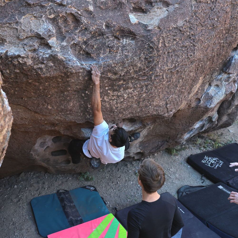 

Filename: SRM_20221112_0928531.jpg
Aperture: f/5.6
Shutter Speed: 1/500
Body: Canon EOS R6
Lens: Canon EF 16-35mm f/2.8 L