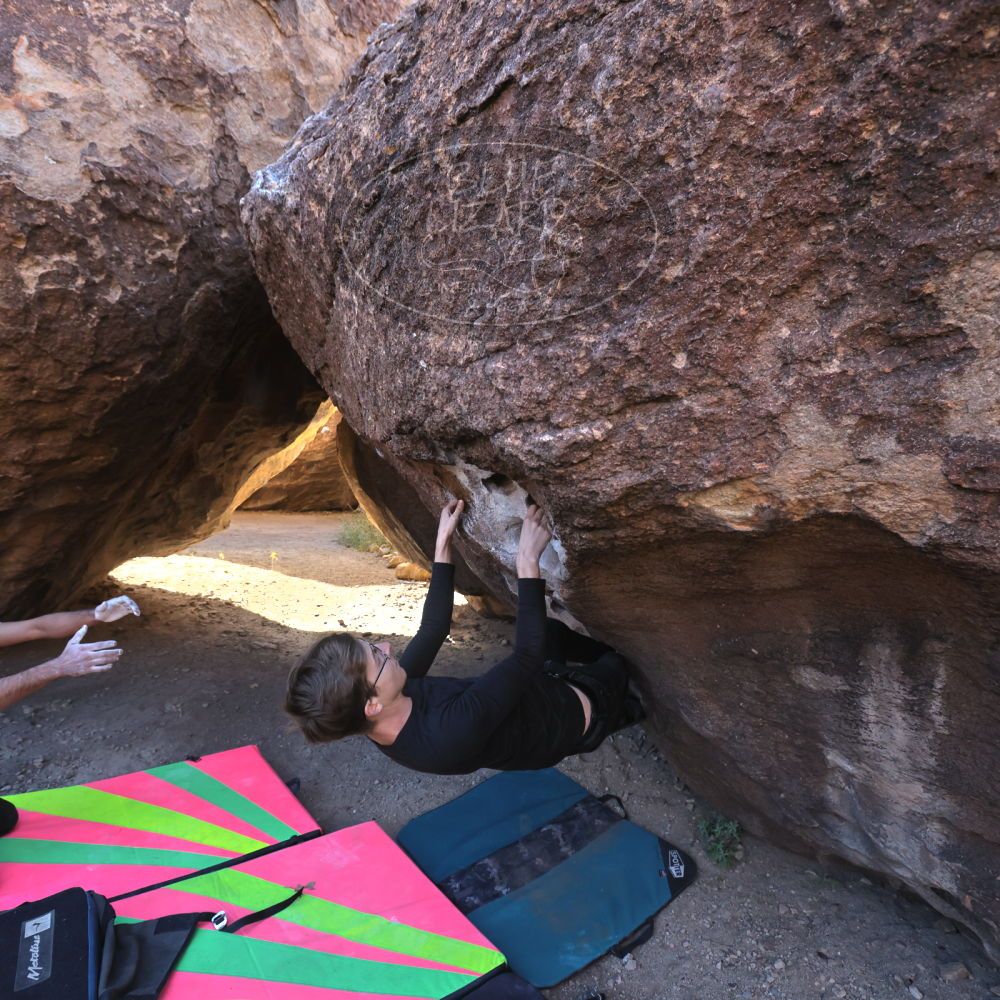 

Filename: SRM_20221112_0930540.jpg
Aperture: f/5.6
Shutter Speed: 1/500
Body: Canon EOS R6
Lens: Canon EF 16-35mm f/2.8 L