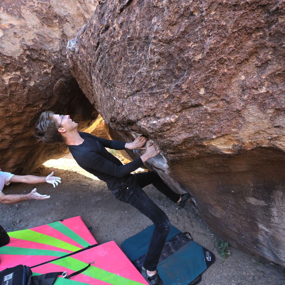 

Filename: SRM_20221112_0931200.jpg
Aperture: f/5.6
Shutter Speed: 1/500
Body: Canon EOS R6
Lens: Canon EF 16-35mm f/2.8 L