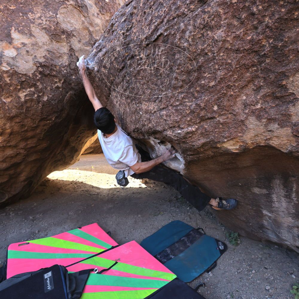 

Filename: SRM_20221112_0932000.jpg
Aperture: f/5.6
Shutter Speed: 1/500
Body: Canon EOS R6
Lens: Canon EF 16-35mm f/2.8 L