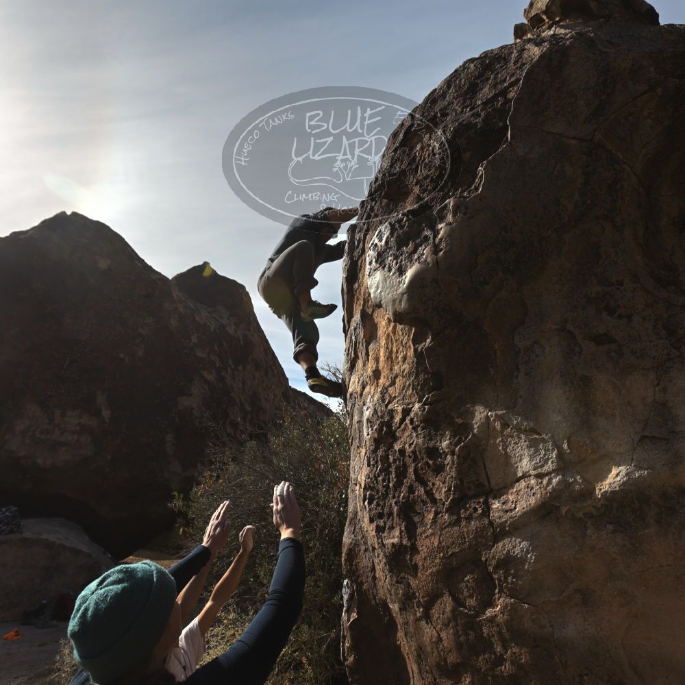 

Filename: SRM_20221112_0937490.jpg
Aperture: f/5.6
Shutter Speed: 1/1600
Body: Canon EOS R6
Lens: Canon EF 16-35mm f/2.8 L