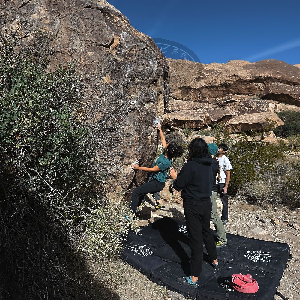 Filename: SRM_20221112_0950160.jpg
Aperture: f/5.6
Shutter Speed: 1/1600
Body: Canon EOS R6
Lens: Canon EF 16-35mm f/2.8 L