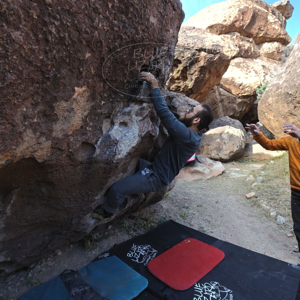 Filename: SRM_20221112_0953480.jpg
Aperture: f/5.6
Shutter Speed: 1/640
Body: Canon EOS R6
Lens: Canon EF 16-35mm f/2.8 L