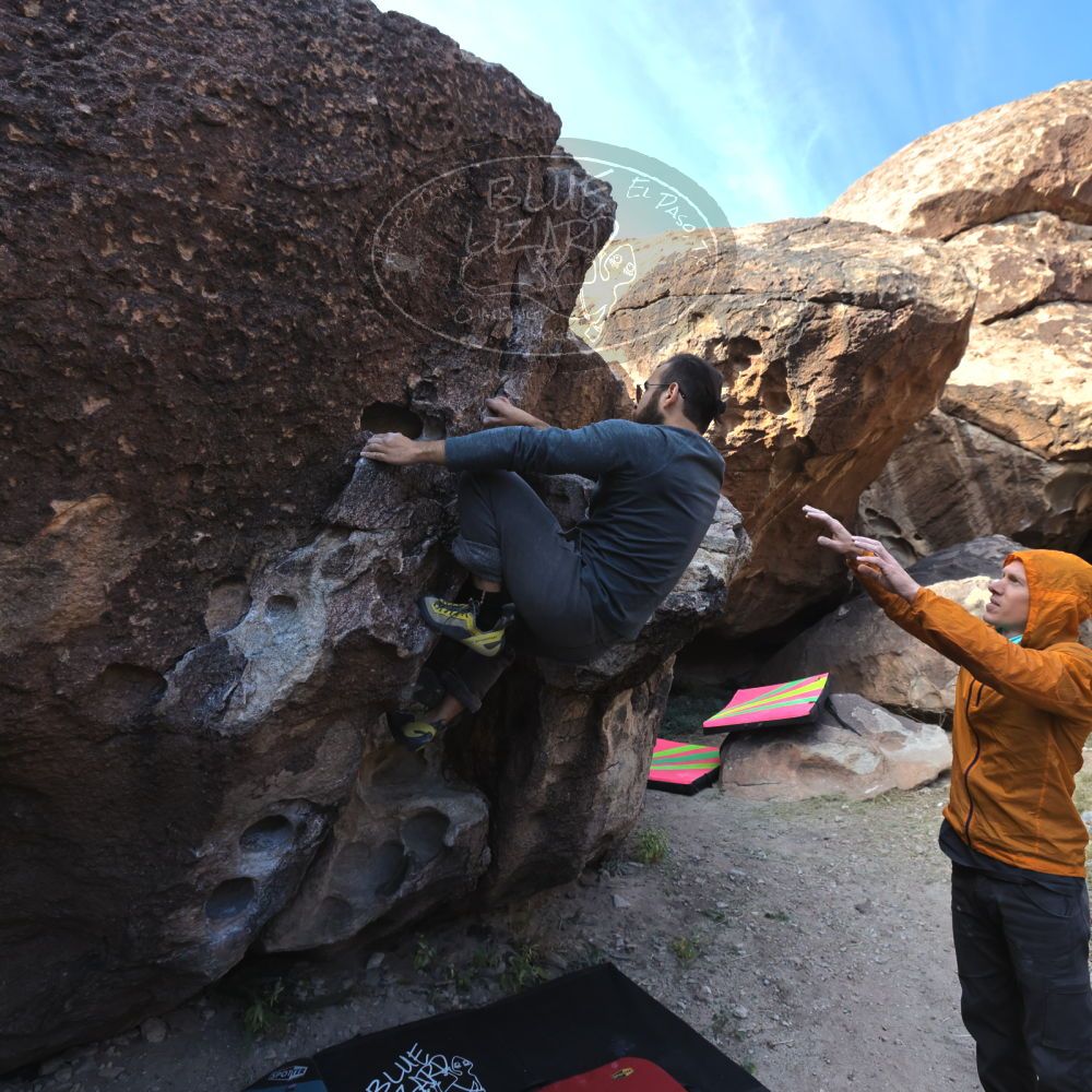 Filename: SRM_20221112_0953570.jpg
Aperture: f/5.6
Shutter Speed: 1/640
Body: Canon EOS R6
Lens: Canon EF 16-35mm f/2.8 L