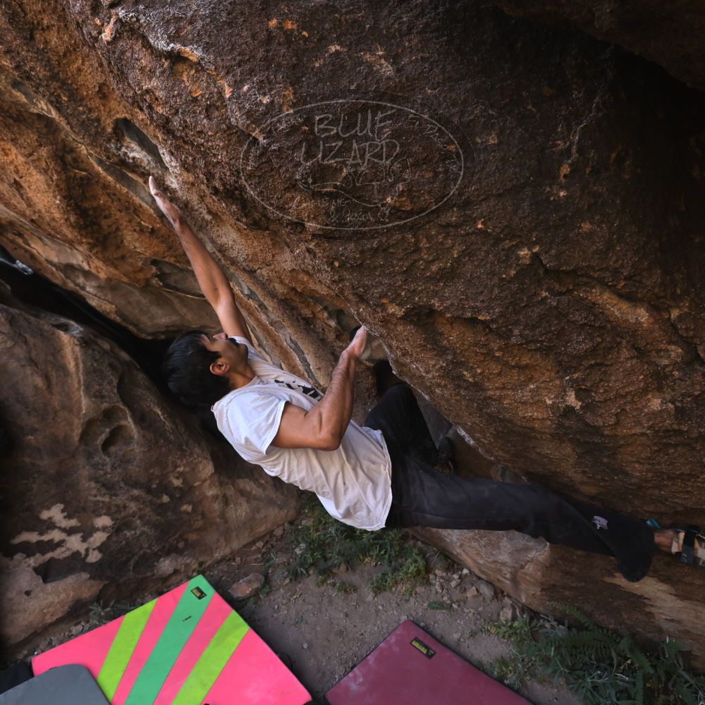 Filename: SRM_20221112_0958130.jpg
Aperture: f/5.6
Shutter Speed: 1/500
Body: Canon EOS R6
Lens: Canon EF 16-35mm f/2.8 L