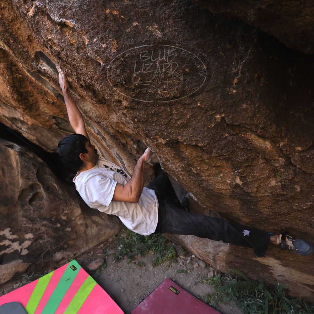 Filename: SRM_20221112_0958131.jpg
Aperture: f/5.6
Shutter Speed: 1/500
Body: Canon EOS R6
Lens: Canon EF 16-35mm f/2.8 L