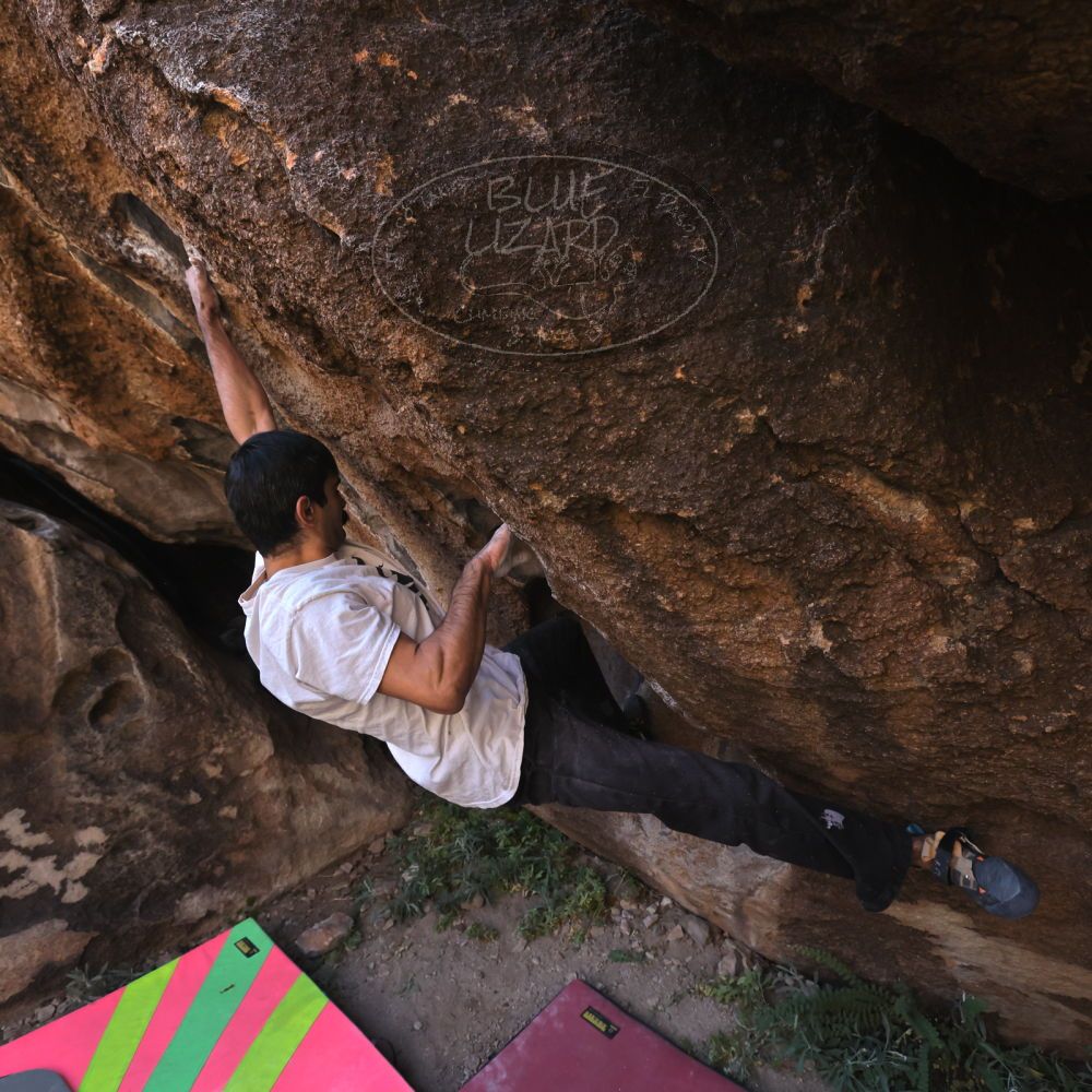 Filename: SRM_20221112_0958132.jpg
Aperture: f/5.6
Shutter Speed: 1/500
Body: Canon EOS R6
Lens: Canon EF 16-35mm f/2.8 L