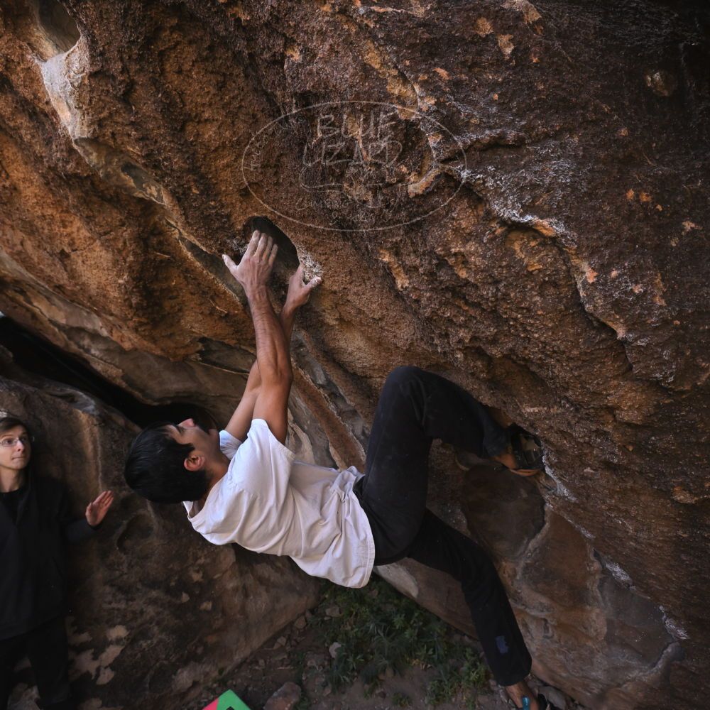 Filename: SRM_20221112_0958180.jpg
Aperture: f/5.6
Shutter Speed: 1/500
Body: Canon EOS R6
Lens: Canon EF 16-35mm f/2.8 L