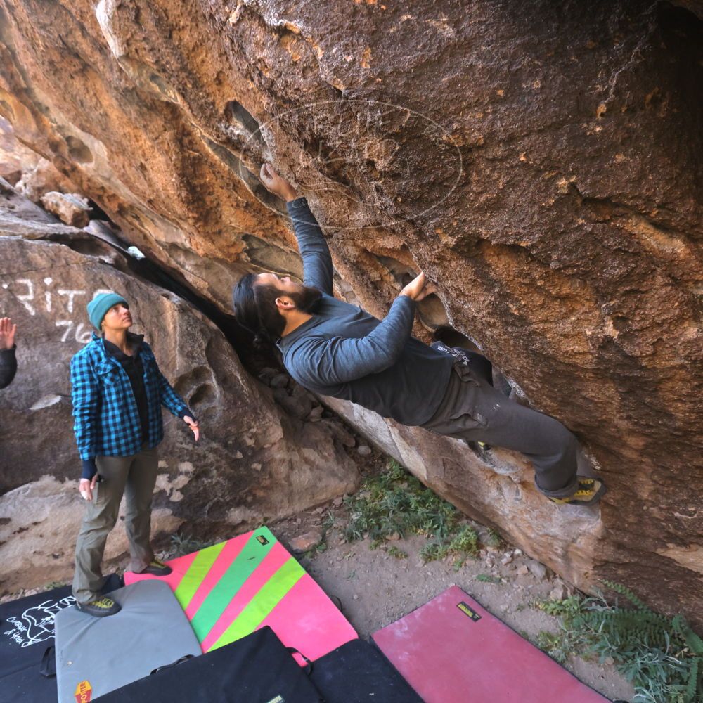 Filename: SRM_20221112_1002160.jpg
Aperture: f/5.6
Shutter Speed: 1/500
Body: Canon EOS R6
Lens: Canon EF 16-35mm f/2.8 L