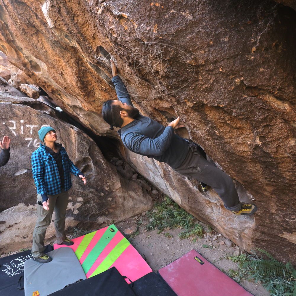 Filename: SRM_20221112_1002161.jpg
Aperture: f/5.6
Shutter Speed: 1/500
Body: Canon EOS R6
Lens: Canon EF 16-35mm f/2.8 L