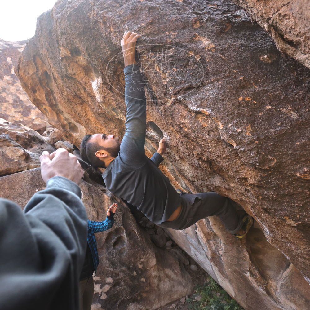 

Filename: SRM_20221112_1002220.jpg
Aperture: f/5.6
Shutter Speed: 1/500
Body: Canon EOS R6
Lens: Canon EF 16-35mm f/2.8 L