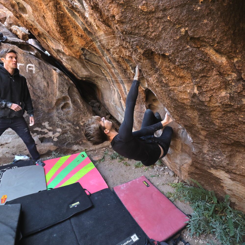 Filename: SRM_20221112_1005150.jpg
Aperture: f/5.6
Shutter Speed: 1/500
Body: Canon EOS R6
Lens: Canon EF 16-35mm f/2.8 L