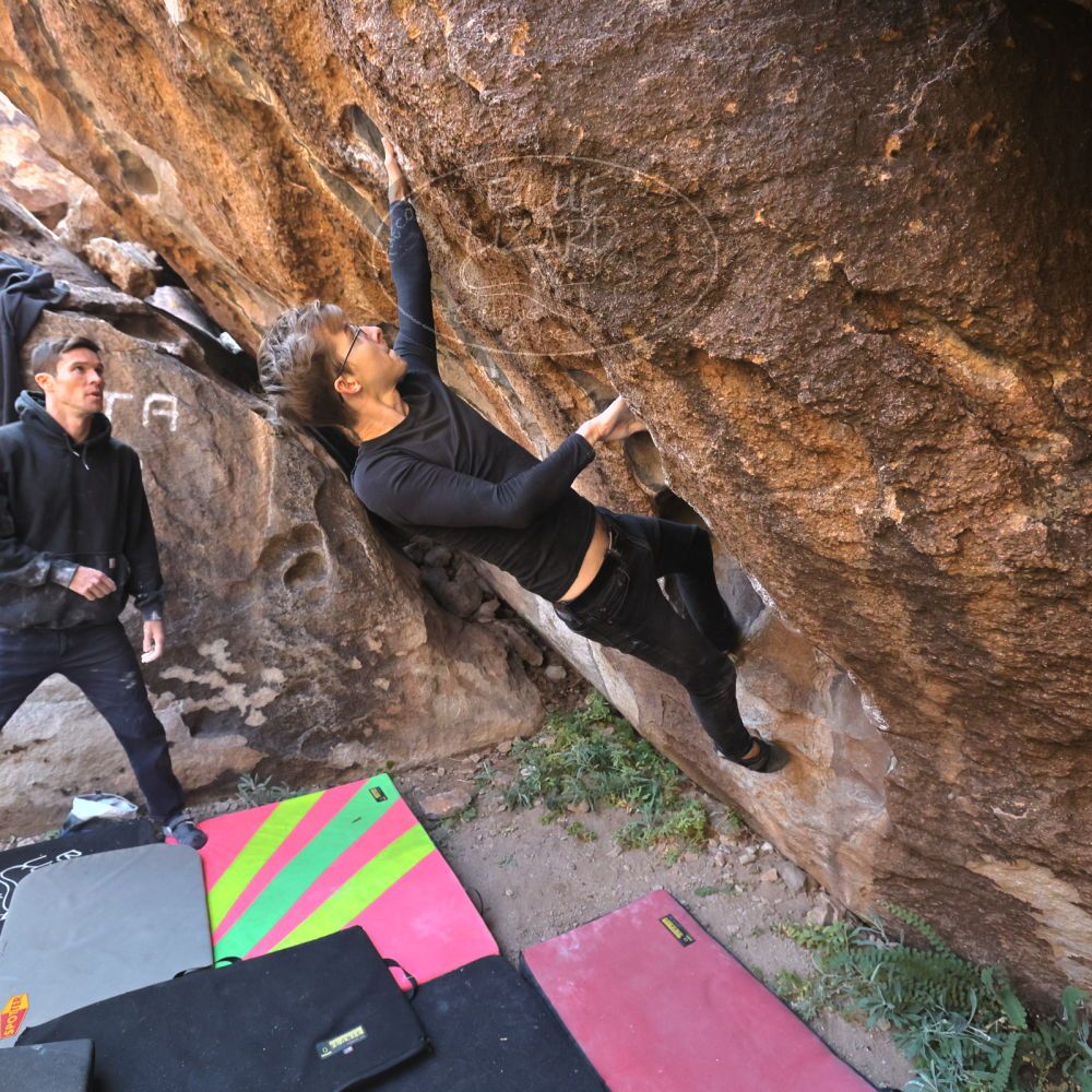 Filename: SRM_20221112_1005170.jpg
Aperture: f/5.6
Shutter Speed: 1/500
Body: Canon EOS R6
Lens: Canon EF 16-35mm f/2.8 L