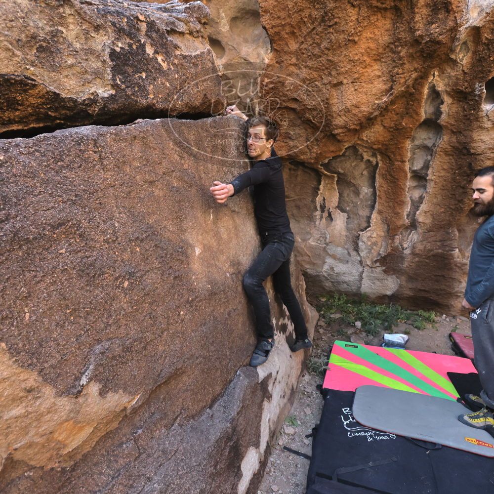 Filename: SRM_20221112_1014290.jpg
Aperture: f/5.6
Shutter Speed: 1/1000
Body: Canon EOS R6
Lens: Canon EF 16-35mm f/2.8 L