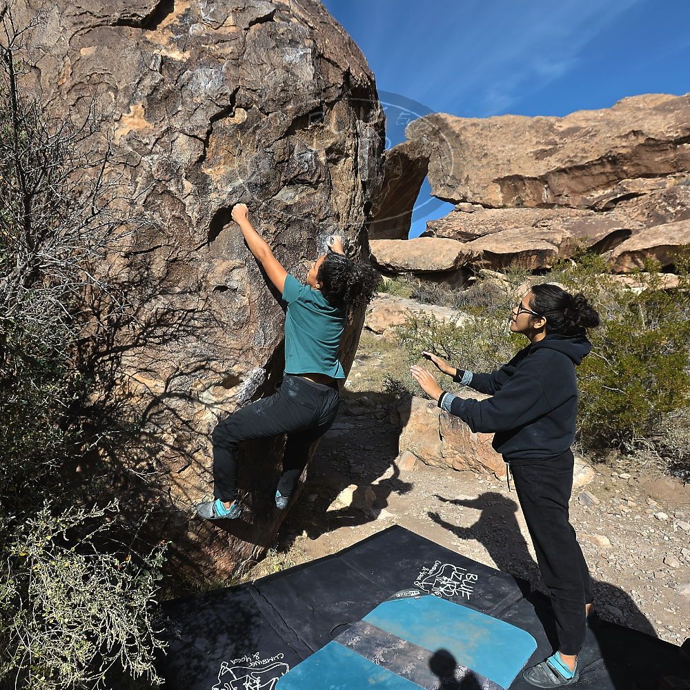 Filename: SRM_20221112_1016580.jpg
Aperture: f/5.6
Shutter Speed: 1/1000
Body: Canon EOS R6
Lens: Canon EF 16-35mm f/2.8 L