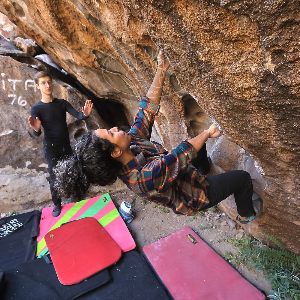 Filename: SRM_20221112_1020090.jpg
Aperture: f/5.6
Shutter Speed: 1/1000
Body: Canon EOS R6
Lens: Canon EF 16-35mm f/2.8 L