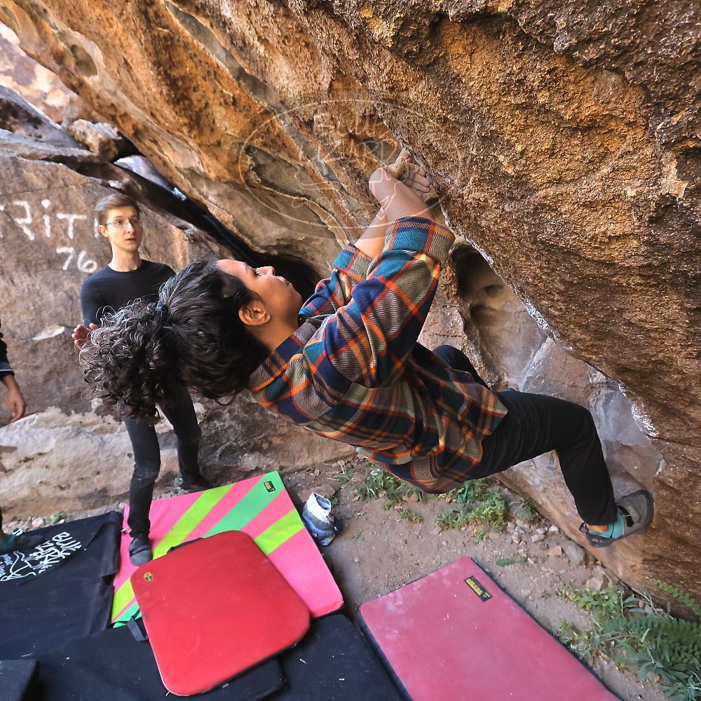 Filename: SRM_20221112_1020091.jpg
Aperture: f/5.6
Shutter Speed: 1/1000
Body: Canon EOS R6
Lens: Canon EF 16-35mm f/2.8 L