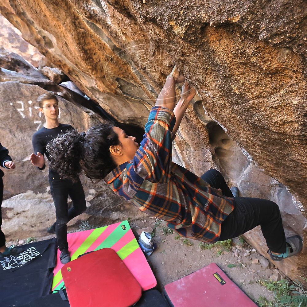 Filename: SRM_20221112_1020100.jpg
Aperture: f/5.6
Shutter Speed: 1/1000
Body: Canon EOS R6
Lens: Canon EF 16-35mm f/2.8 L