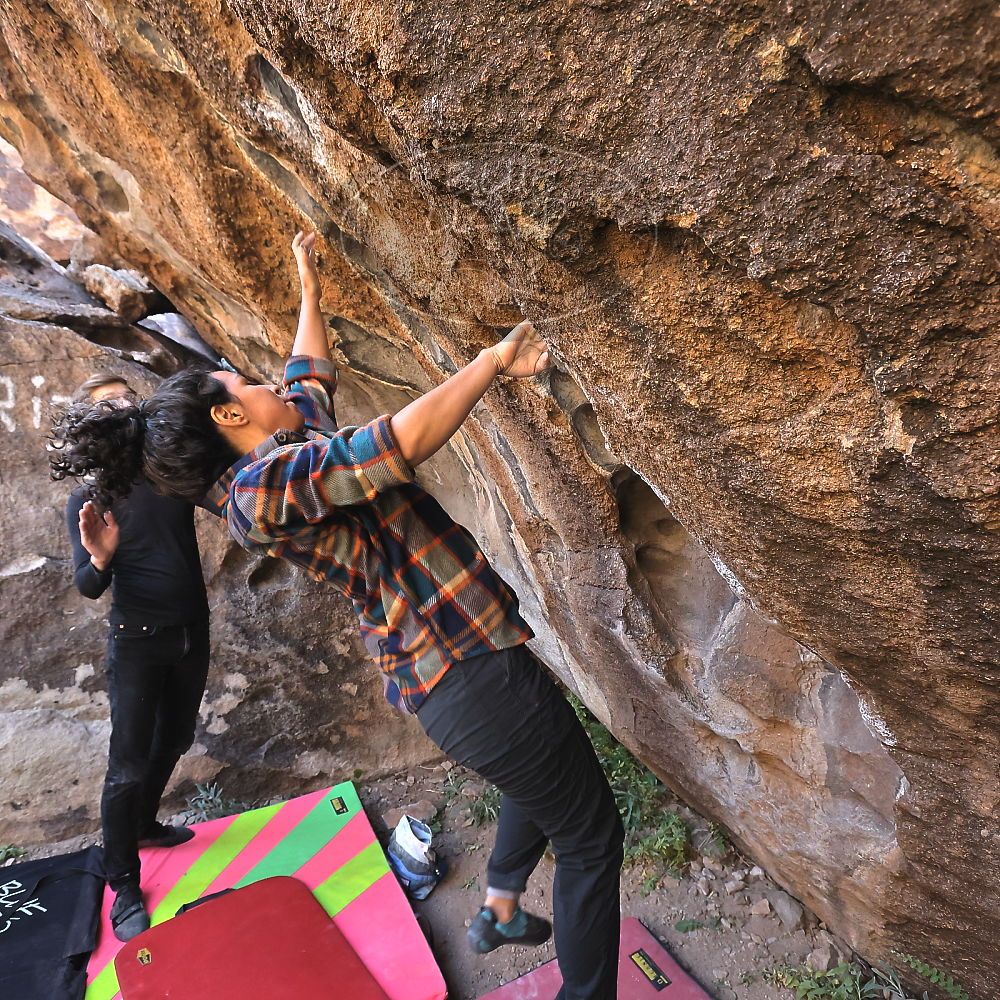 Filename: SRM_20221112_1020161.jpg
Aperture: f/5.6
Shutter Speed: 1/500
Body: Canon EOS R6
Lens: Canon EF 16-35mm f/2.8 L