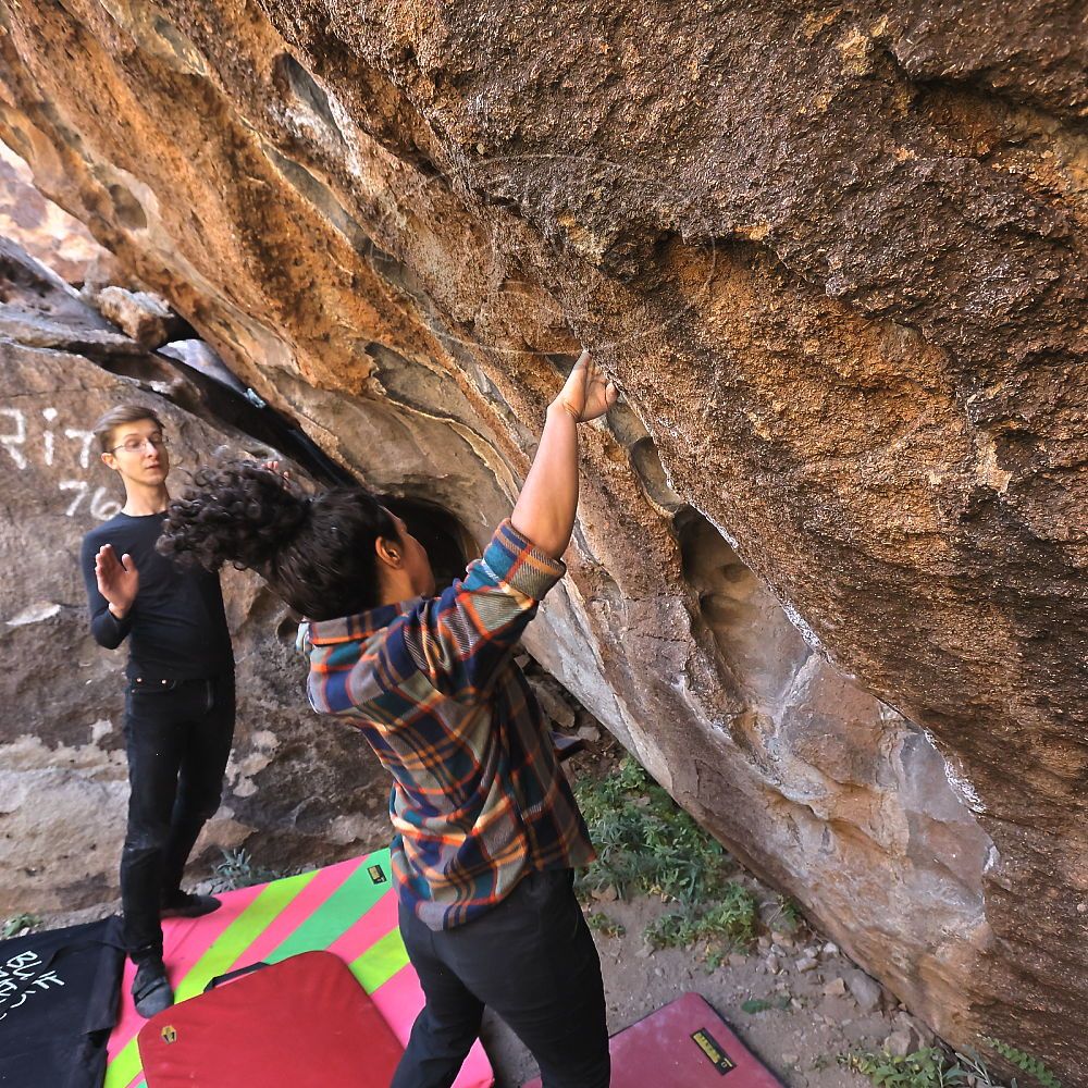 Filename: SRM_20221112_1020162.jpg
Aperture: f/5.6
Shutter Speed: 1/500
Body: Canon EOS R6
Lens: Canon EF 16-35mm f/2.8 L