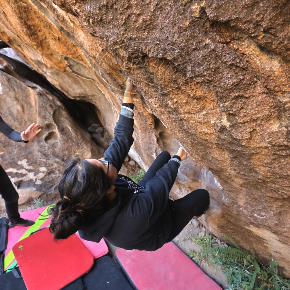 Filename: SRM_20221112_1020490.jpg
Aperture: f/5.6
Shutter Speed: 1/500
Body: Canon EOS R6
Lens: Canon EF 16-35mm f/2.8 L