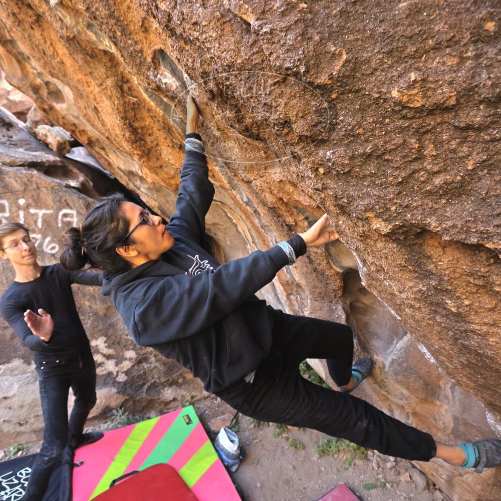 Filename: SRM_20221112_1020540.jpg
Aperture: f/5.6
Shutter Speed: 1/500
Body: Canon EOS R6
Lens: Canon EF 16-35mm f/2.8 L