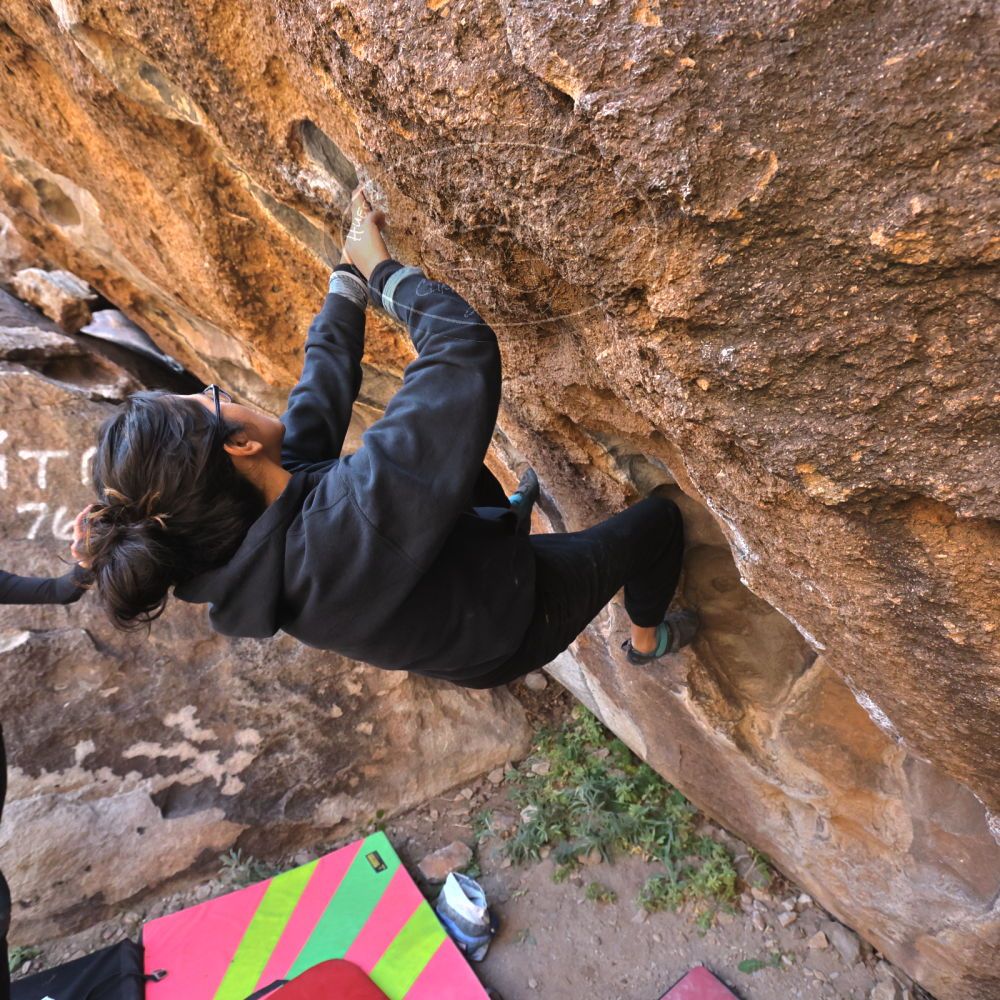 Filename: SRM_20221112_1020570.jpg
Aperture: f/5.6
Shutter Speed: 1/500
Body: Canon EOS R6
Lens: Canon EF 16-35mm f/2.8 L