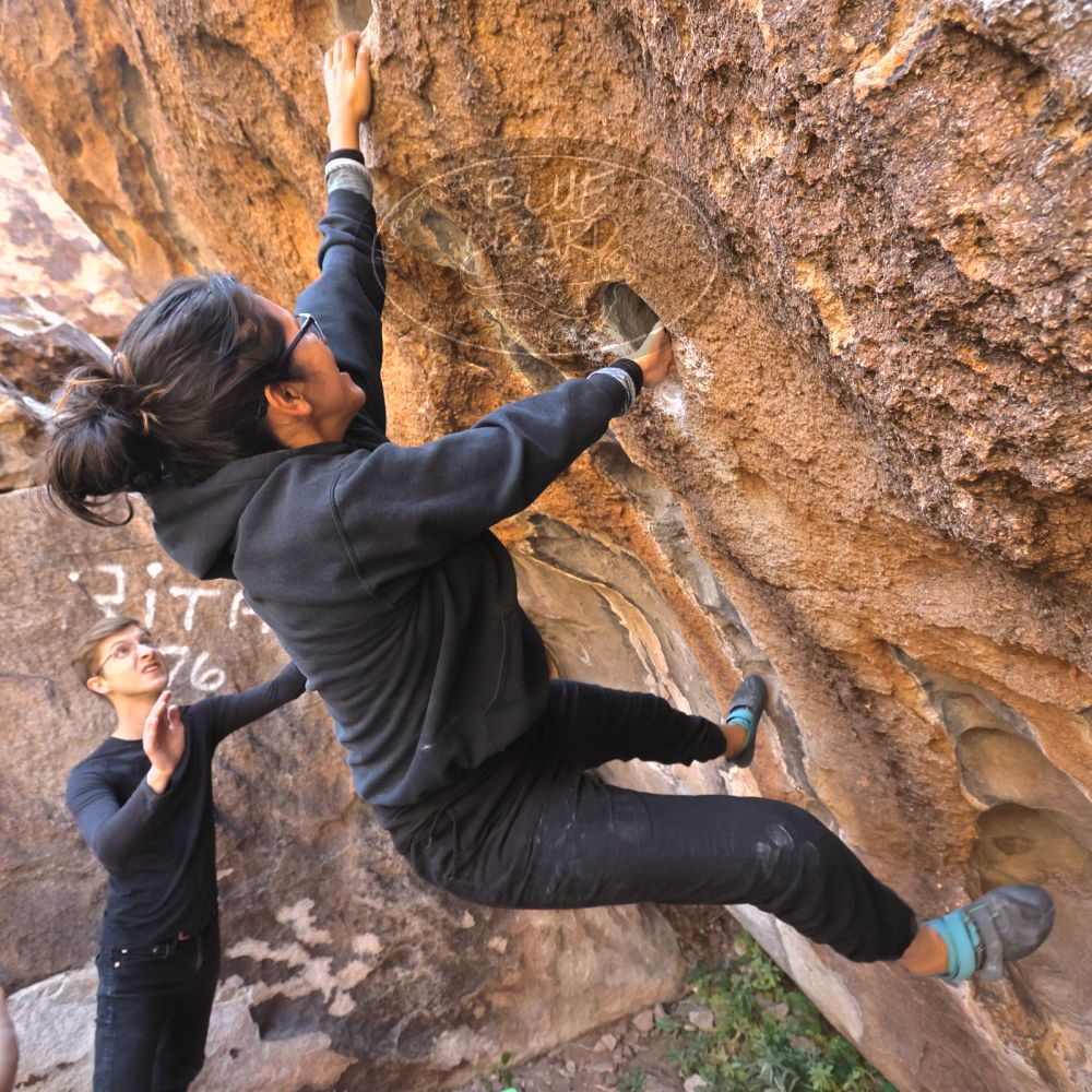 Filename: SRM_20221112_1021050.jpg
Aperture: f/5.6
Shutter Speed: 1/500
Body: Canon EOS R6
Lens: Canon EF 16-35mm f/2.8 L