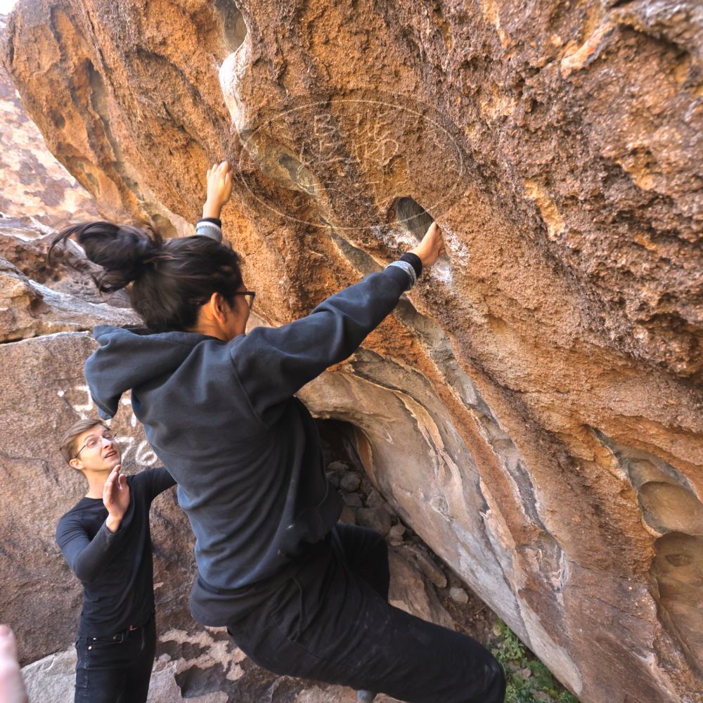 Filename: SRM_20221112_1021051.jpg
Aperture: f/5.6
Shutter Speed: 1/500
Body: Canon EOS R6
Lens: Canon EF 16-35mm f/2.8 L