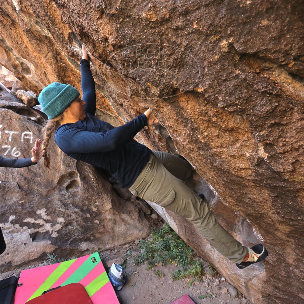 Filename: SRM_20221112_1021391.jpg
Aperture: f/5.6
Shutter Speed: 1/500
Body: Canon EOS R6
Lens: Canon EF 16-35mm f/2.8 L