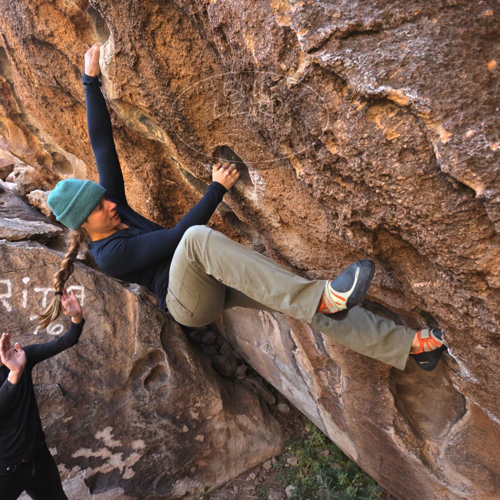 Filename: SRM_20221112_1021511.jpg
Aperture: f/5.6
Shutter Speed: 1/500
Body: Canon EOS R6
Lens: Canon EF 16-35mm f/2.8 L