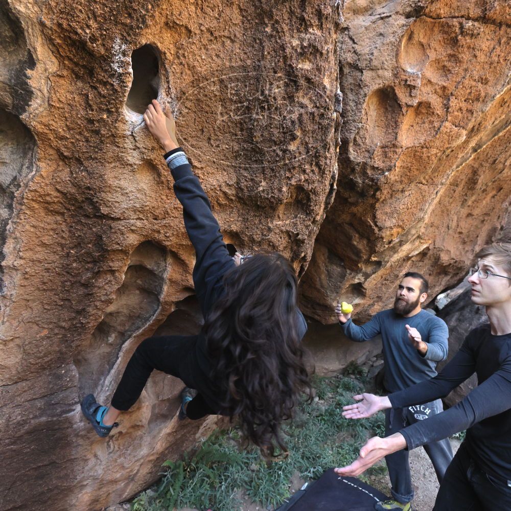 Filename: SRM_20221112_1029052.jpg
Aperture: f/5.6
Shutter Speed: 1/500
Body: Canon EOS R6
Lens: Canon EF 16-35mm f/2.8 L