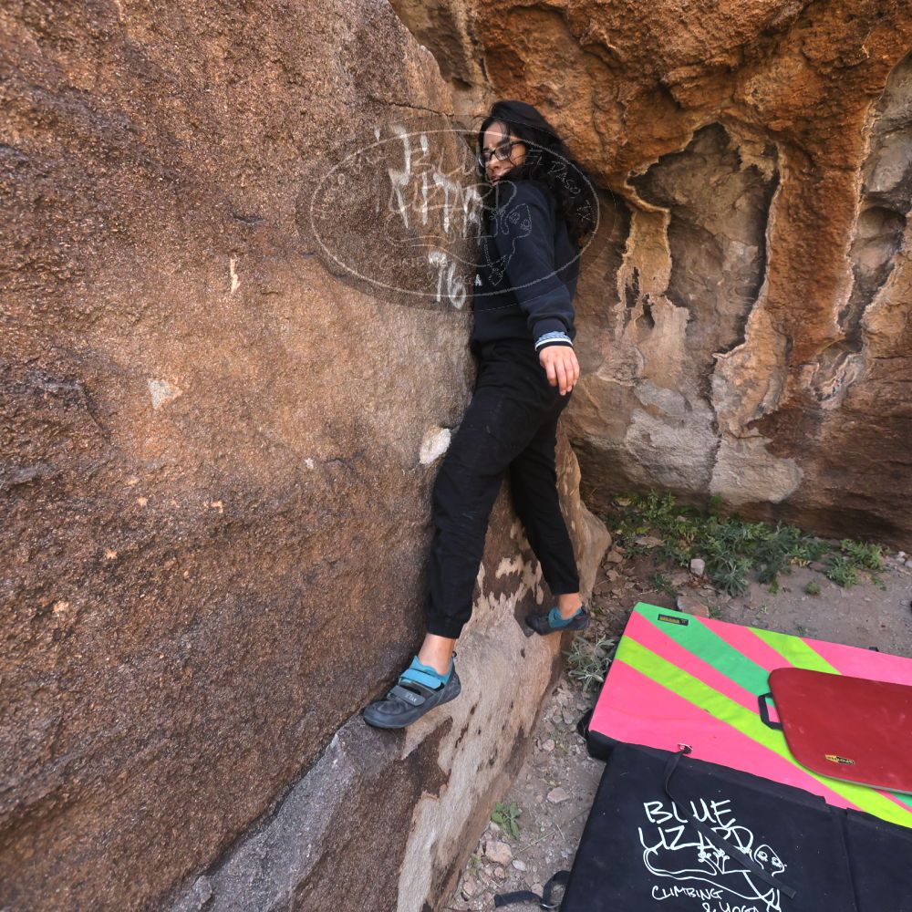 Filename: SRM_20221112_1029570.jpg
Aperture: f/5.6
Shutter Speed: 1/500
Body: Canon EOS R6
Lens: Canon EF 16-35mm f/2.8 L