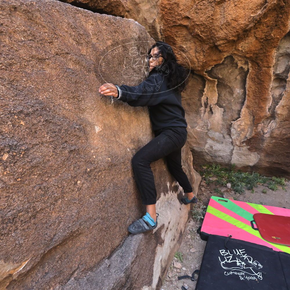 Filename: SRM_20221112_1030030.jpg
Aperture: f/5.6
Shutter Speed: 1/500
Body: Canon EOS R6
Lens: Canon EF 16-35mm f/2.8 L