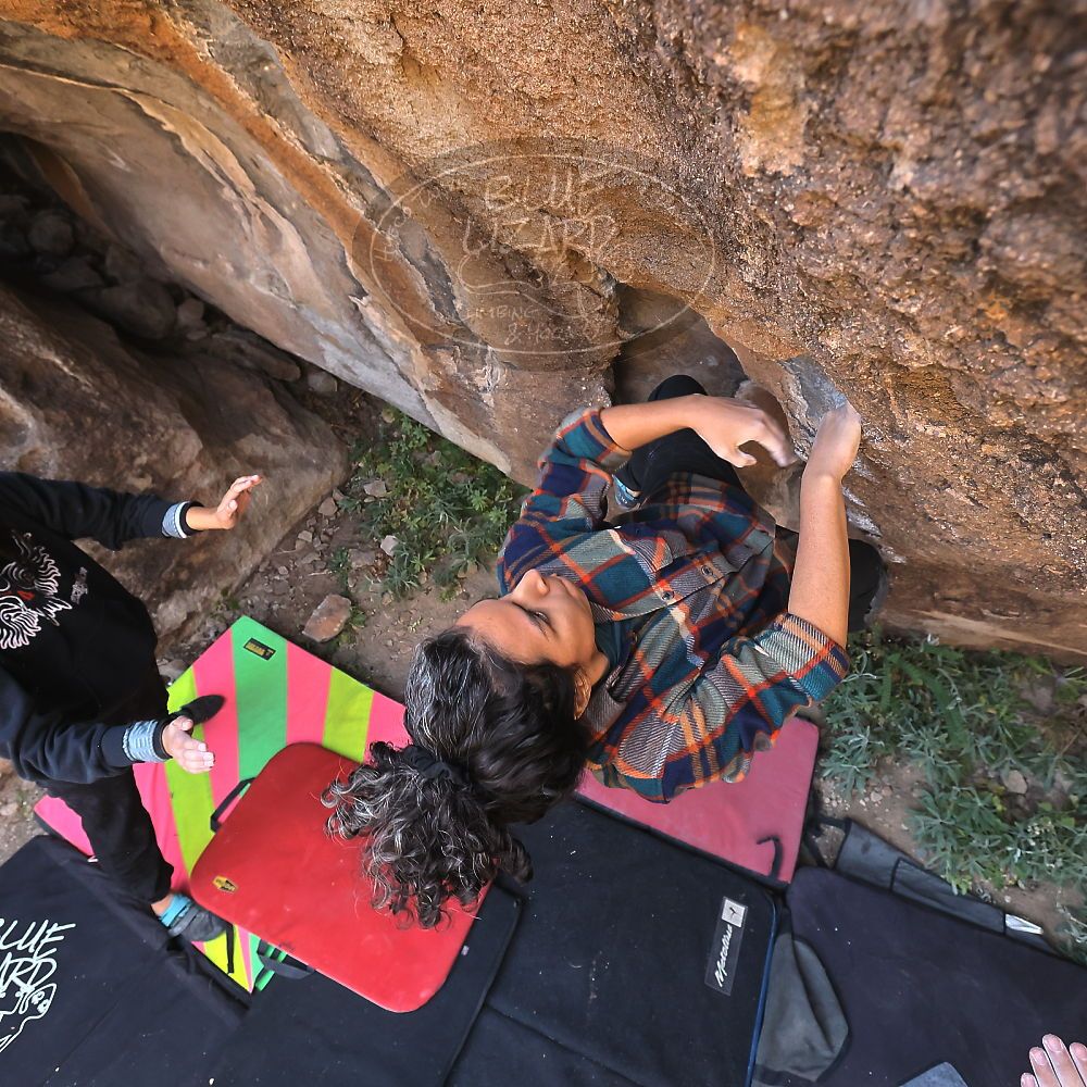 Filename: SRM_20221112_1032400.jpg
Aperture: f/5.6
Shutter Speed: 1/500
Body: Canon EOS R6
Lens: Canon EF 16-35mm f/2.8 L