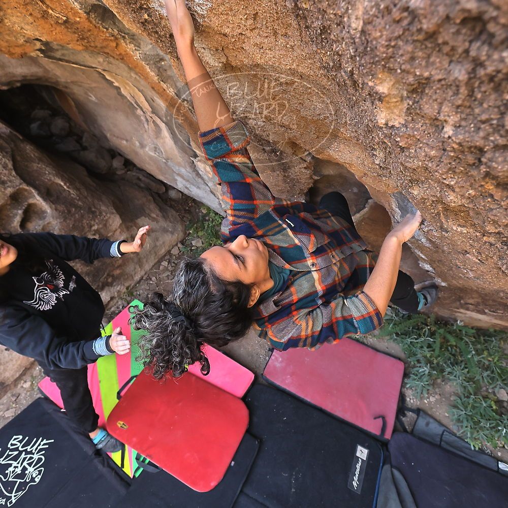 Filename: SRM_20221112_1032401.jpg
Aperture: f/5.6
Shutter Speed: 1/500
Body: Canon EOS R6
Lens: Canon EF 16-35mm f/2.8 L