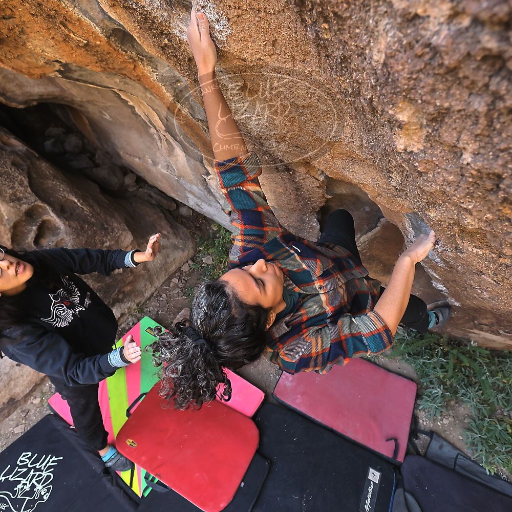 Filename: SRM_20221112_1032402.jpg
Aperture: f/5.6
Shutter Speed: 1/500
Body: Canon EOS R6
Lens: Canon EF 16-35mm f/2.8 L