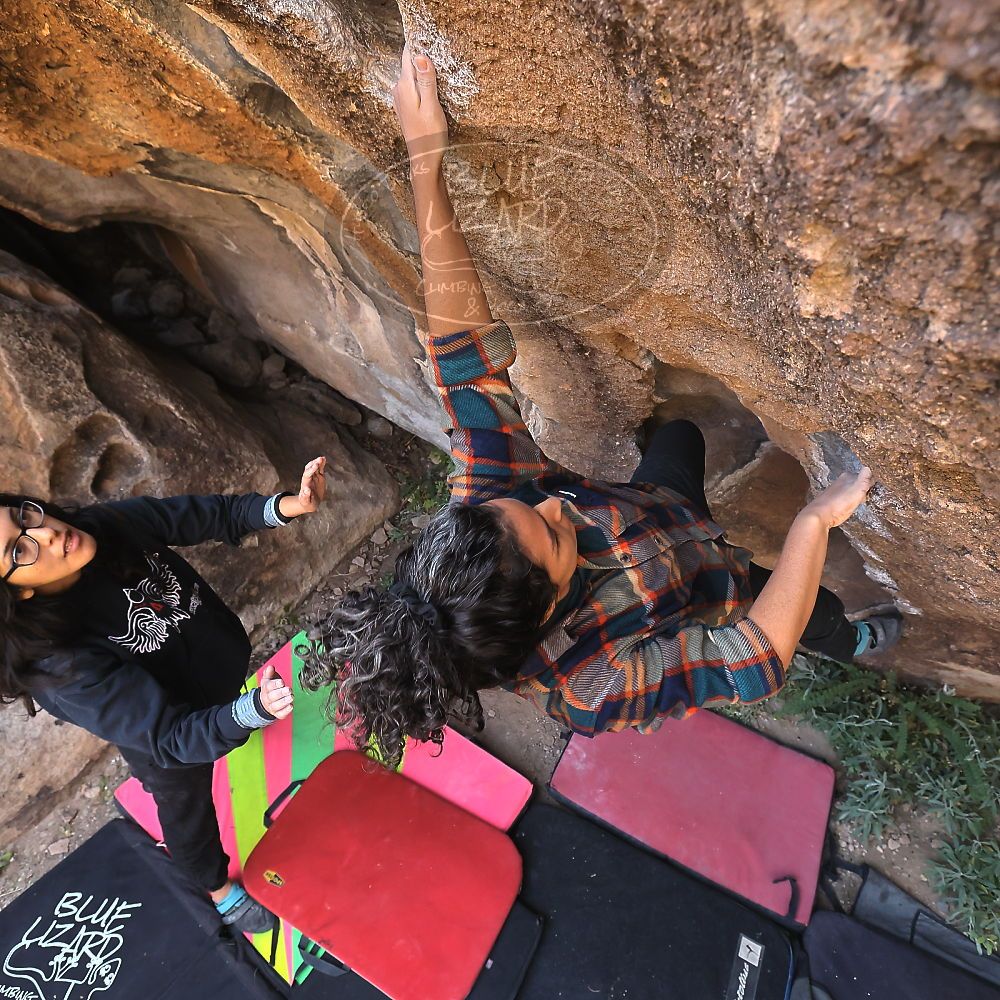 Filename: SRM_20221112_1032403.jpg
Aperture: f/5.6
Shutter Speed: 1/500
Body: Canon EOS R6
Lens: Canon EF 16-35mm f/2.8 L