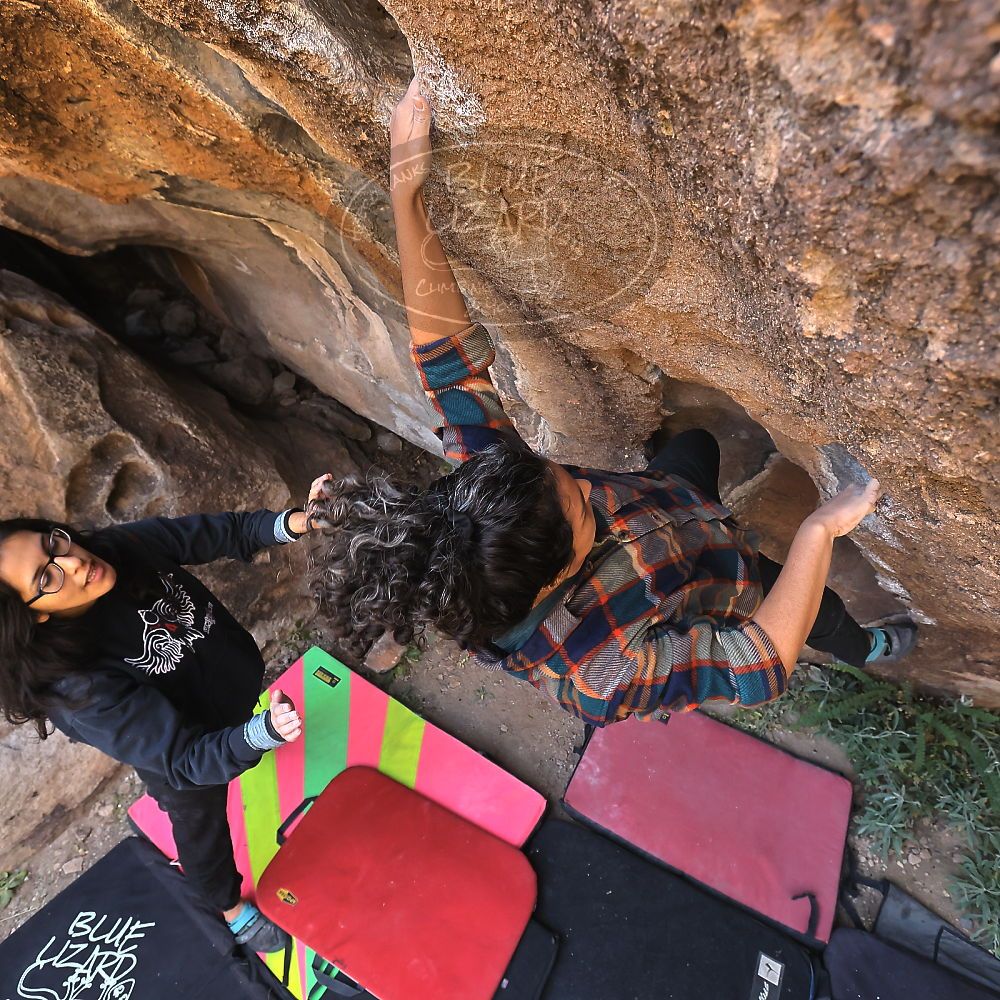 Filename: SRM_20221112_1032410.jpg
Aperture: f/5.6
Shutter Speed: 1/500
Body: Canon EOS R6
Lens: Canon EF 16-35mm f/2.8 L