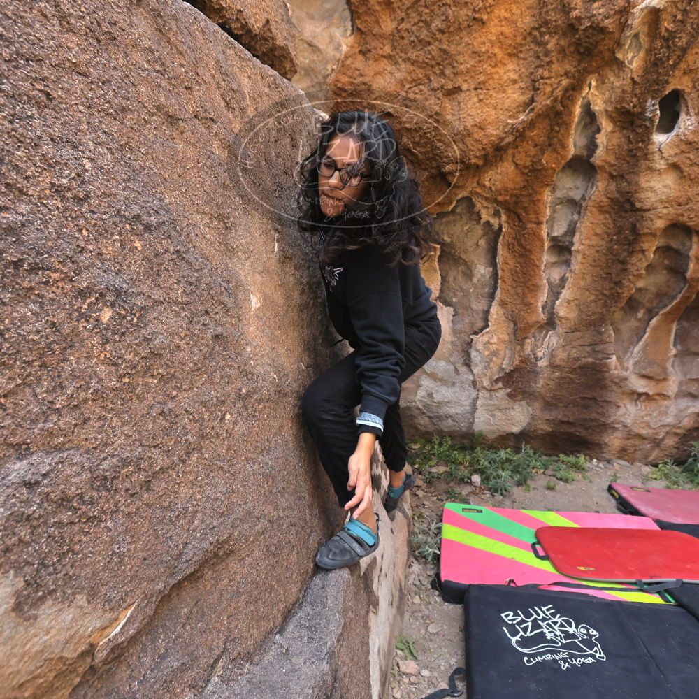 

Filename: SRM_20221112_1035580.jpg
Aperture: f/5.6
Shutter Speed: 1/500
Body: Canon EOS R6
Lens: Canon EF 16-35mm f/2.8 L