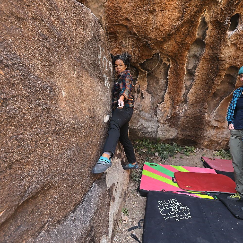 

Filename: SRM_20221112_1036100.jpg
Aperture: f/5.6
Shutter Speed: 1/500
Body: Canon EOS R6
Lens: Canon EF 16-35mm f/2.8 L